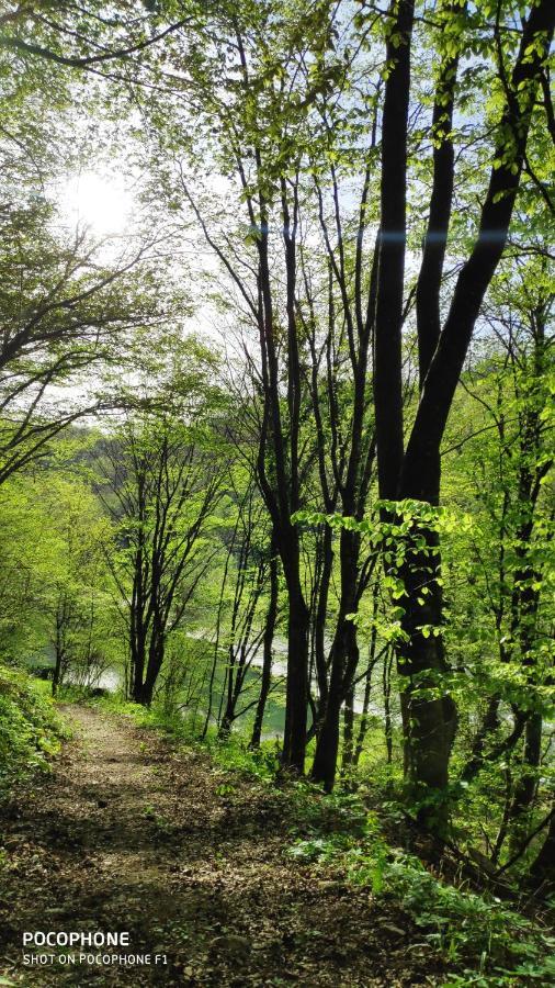 Smaragd River Near Rastoke & Plitvice Lakes Slunj Exteriör bild